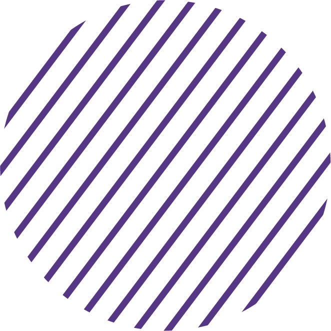 purpledash